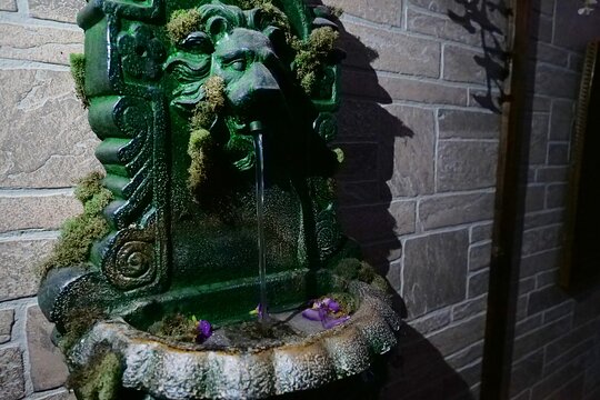 Tour image 4